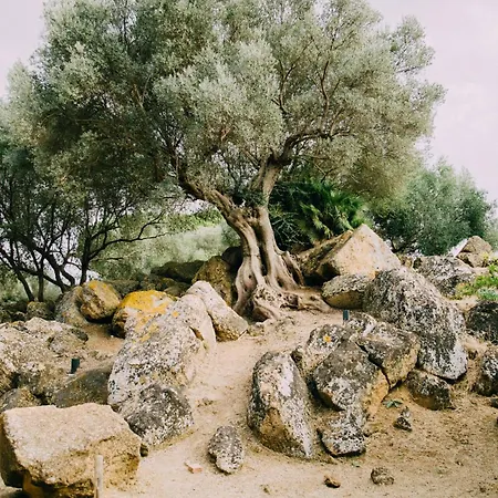 Masseria Torre Ruggeri Carpignano Salentino